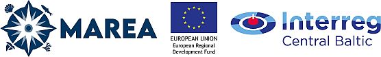 EU flag and Central Baltic programme logo.
